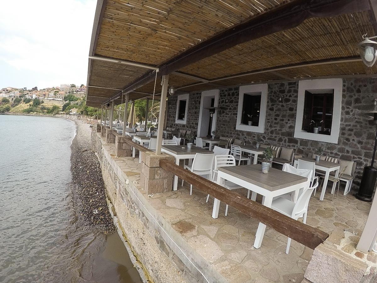 מית'ימנה Olive Press Hotel & Apartments מראה חיצוני תמונה